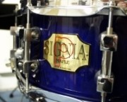Premier Signia Snare Drum